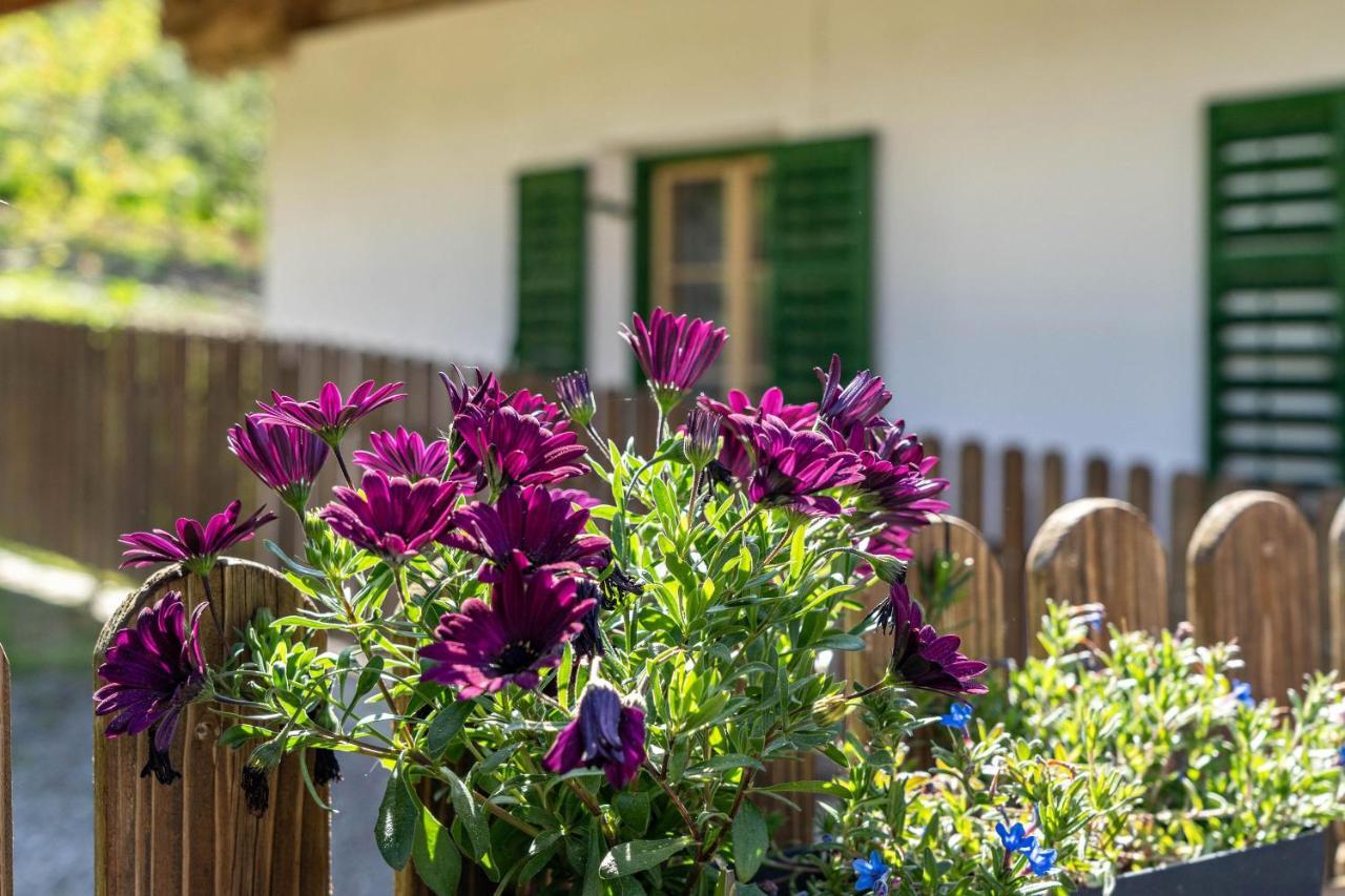 Ferienwohnung Brunjaunhof Schenna Buitenkant foto